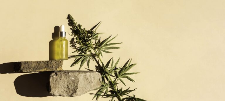 glass bottle with CBD oil, THC tincture and hemp leaves on a pastel background with stone podium. minimalism. Cosmetics